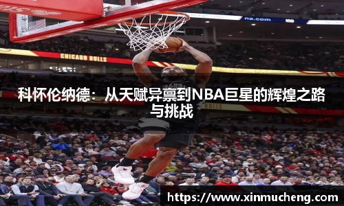 星空·综合体育官方网站