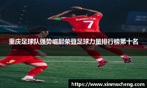 星空·综合体育中国官网